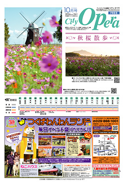 紙面